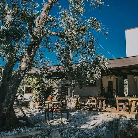 Paradiso Bed & Breakfast *