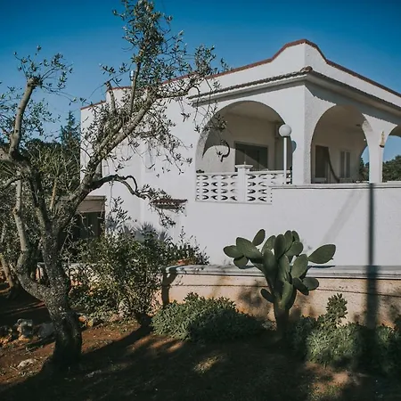 Bed & Breakfast Paradiso *