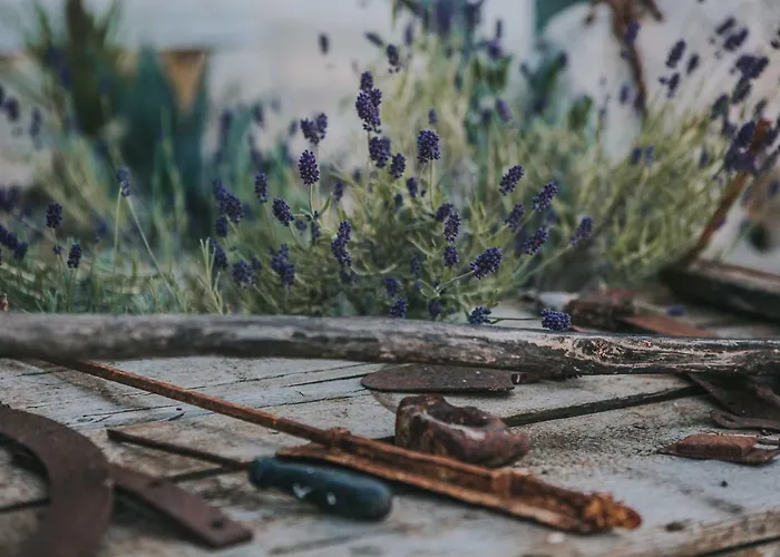 Bed & Breakfast Paradiso Ostuni