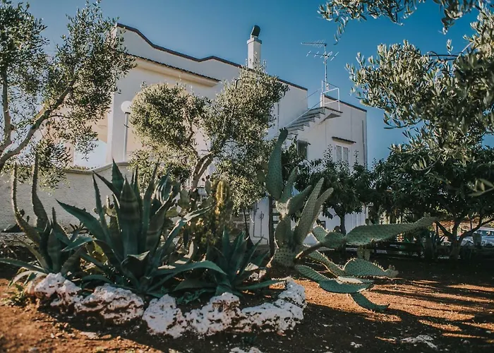 Paradiso Bed & Breakfast