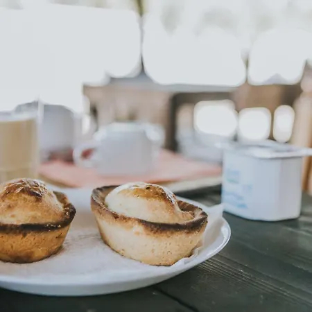 Paradiso 奥斯图尼