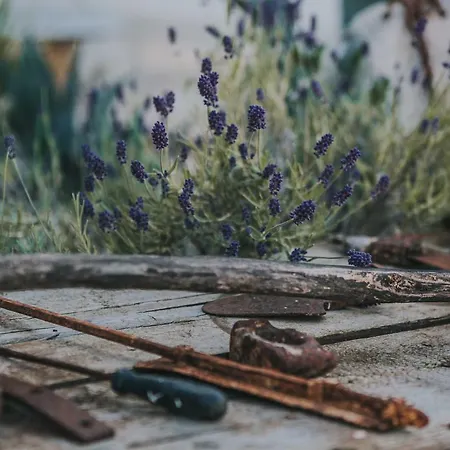 Nocleg ze śniadaniem Paradiso Ostuni