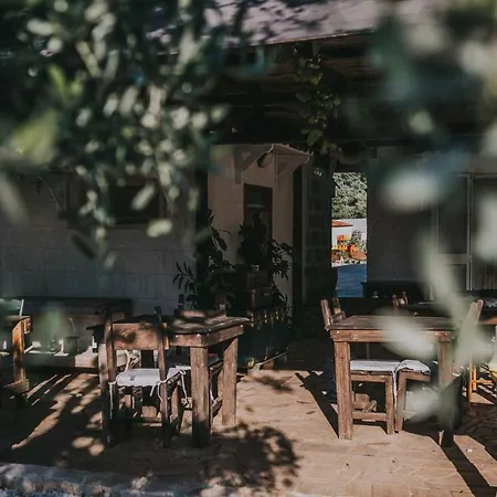 Paradiso * 奥斯图尼