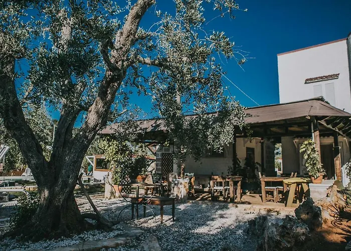 Paradiso Alojamento de Acomodação e Pequeno-almoço *
