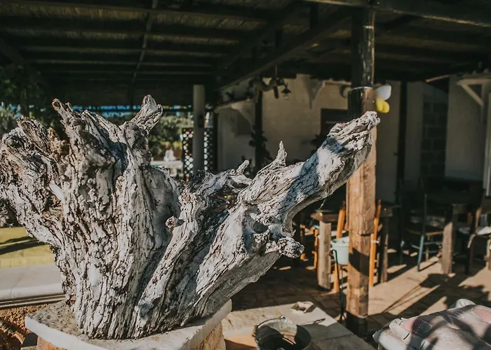 Paradiso Alojamento de Acomodação e Pequeno-almoço *